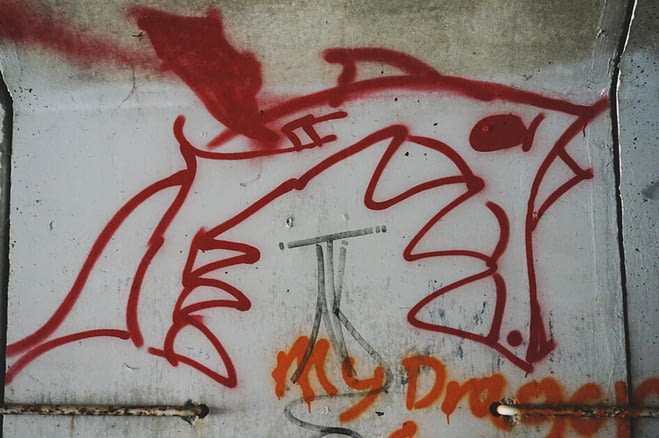 graffiti in a concrete tunnel